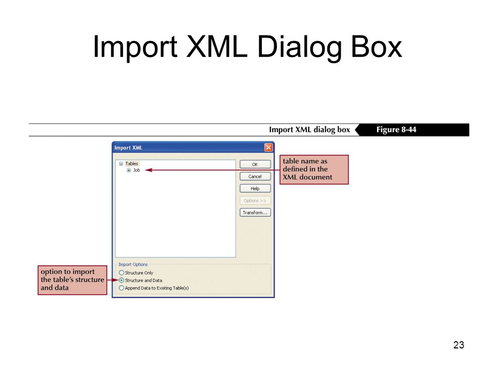 23 Import XML Dialog Box