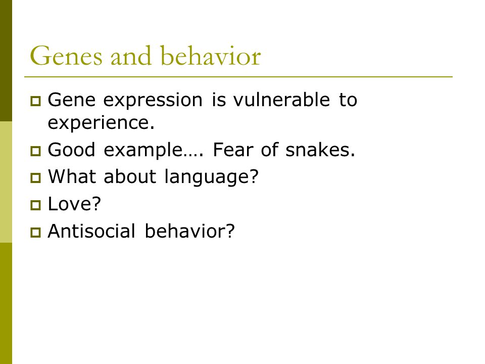 Genes and behavior  Gene expression is vulnerable to experience.