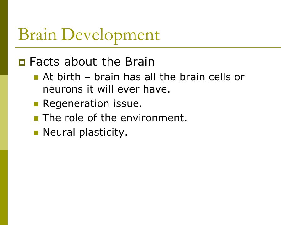 Brain Development  Facts about the Brain At birth – brain has all the brain cells or neurons it will ever have.
