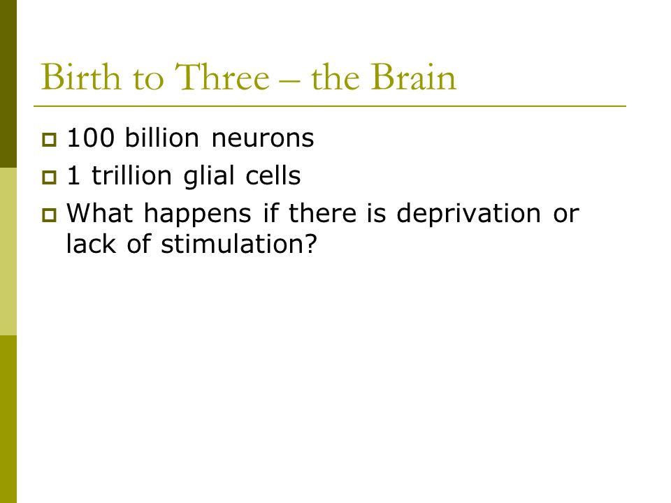 Birth to Three – the Brain  100 billion neurons  1 trillion glial cells  What happens if there is deprivation or lack of stimulation