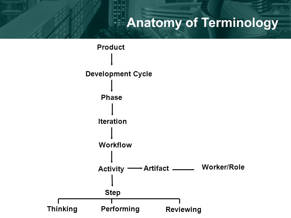 Anatomy of Terminology Product Development Cycle Phase Iteration Workflow Activity Step ThinkingPerforming Reviewing Artifact Worker/Role