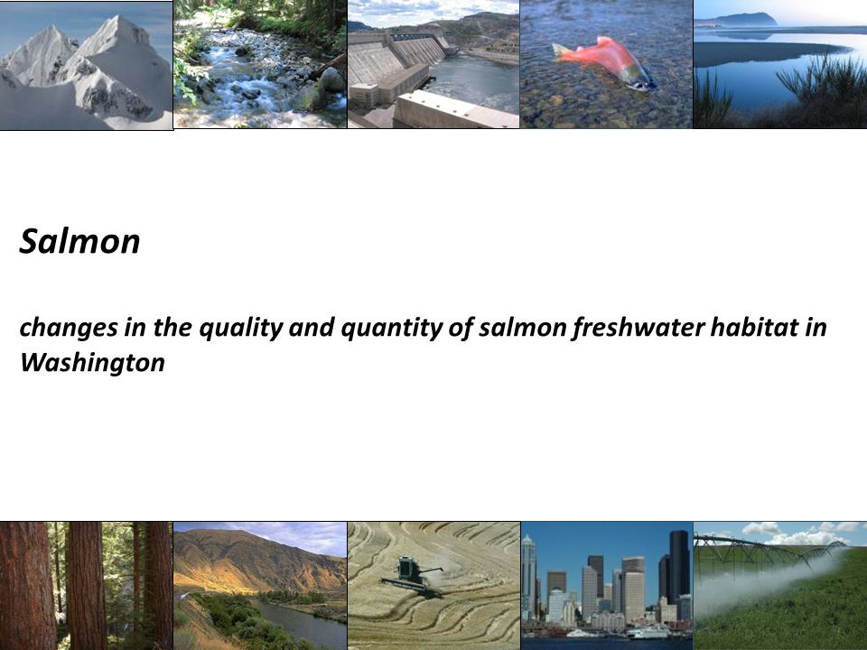 Salmon changes in the quality and quantity of salmon freshwater habitat in Washington