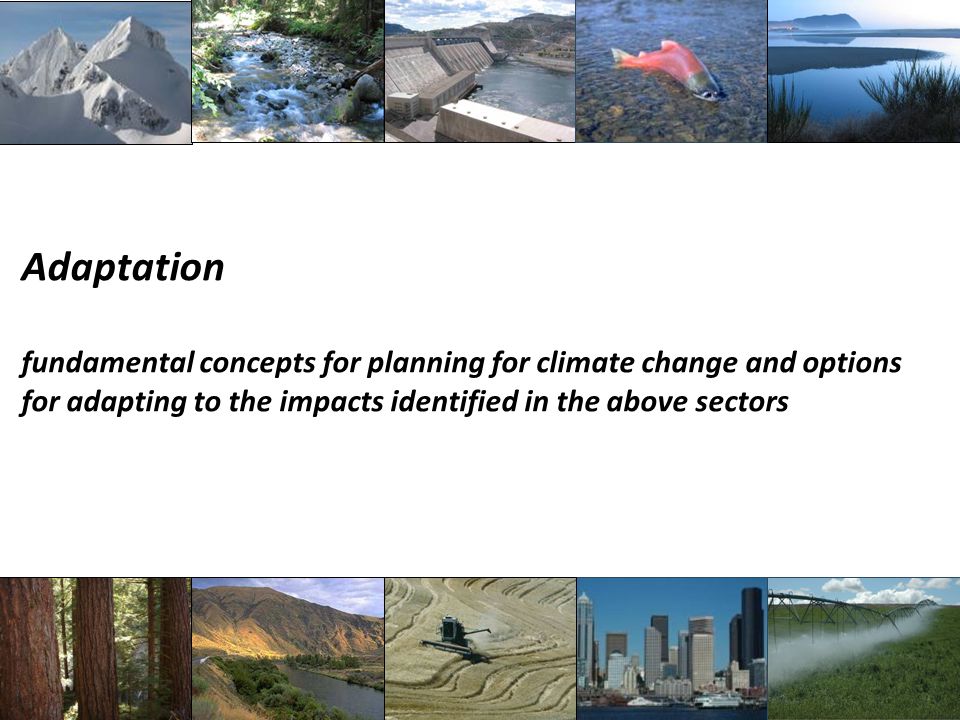 Adaptation fundamental concepts for planning for climate change and options for adapting to the impacts identified in the above sectors