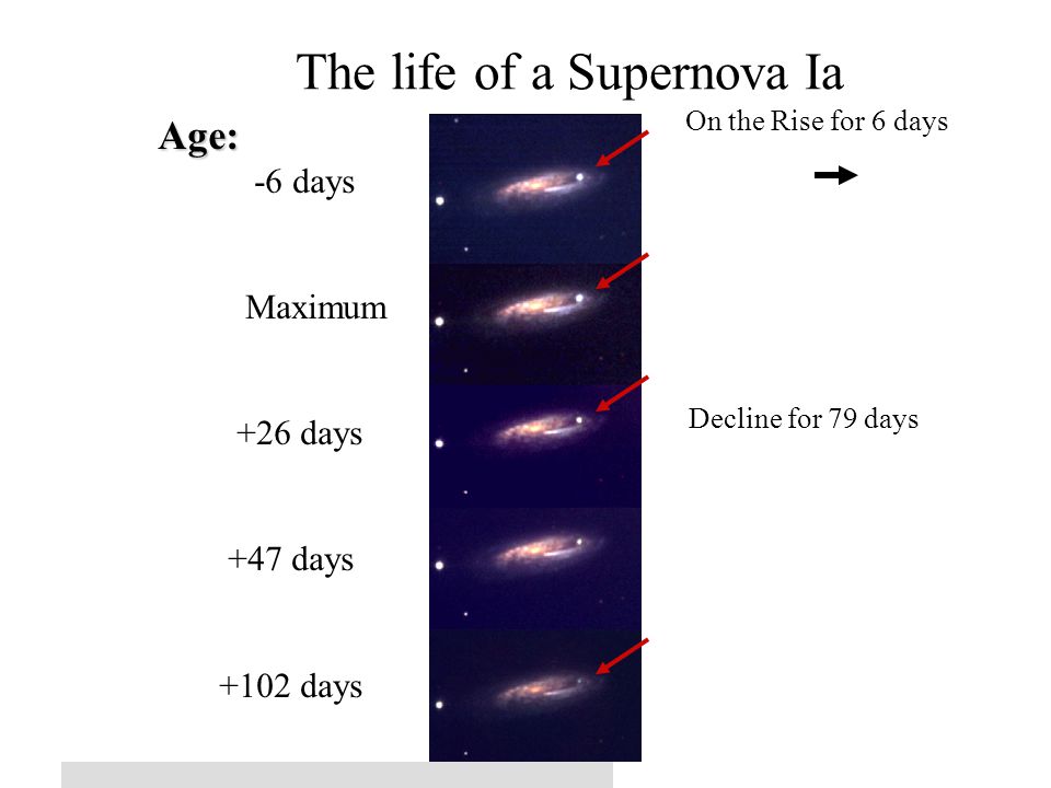 © 2005 Pearson Education Inc., publishing as Addison-Wesley The life of a Supernova Ia Age: -6 days Maximum +26 days +47 days +102 days On the Rise for 6 days Decline for 79 days