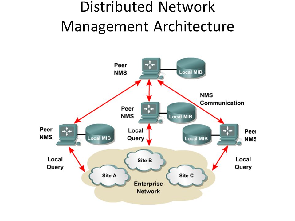 Distributed Network Management Architecture