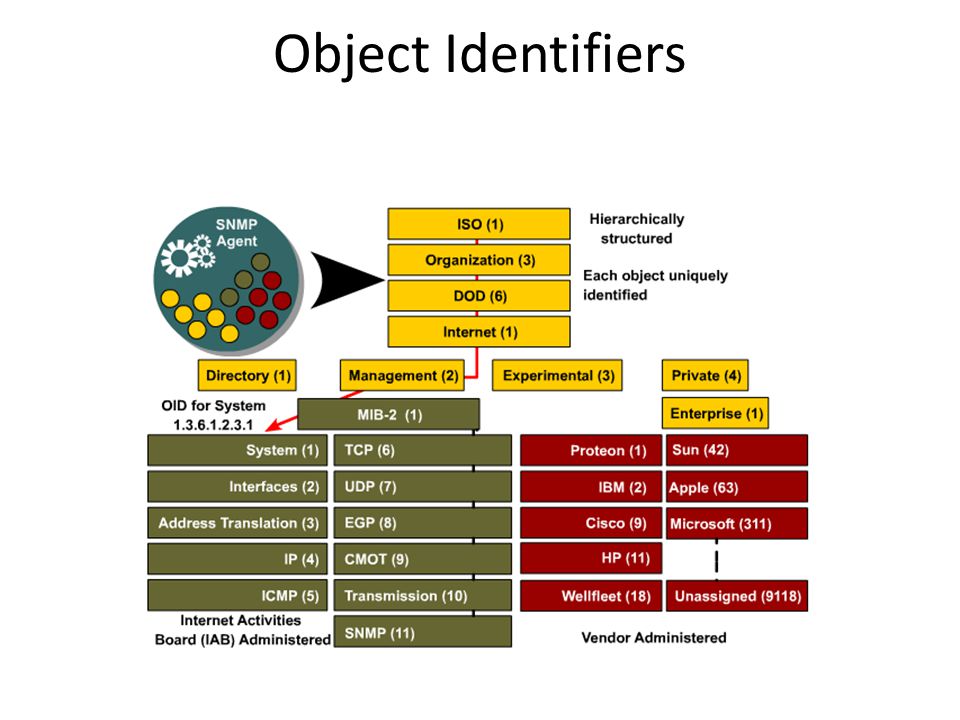 Object Identifiers