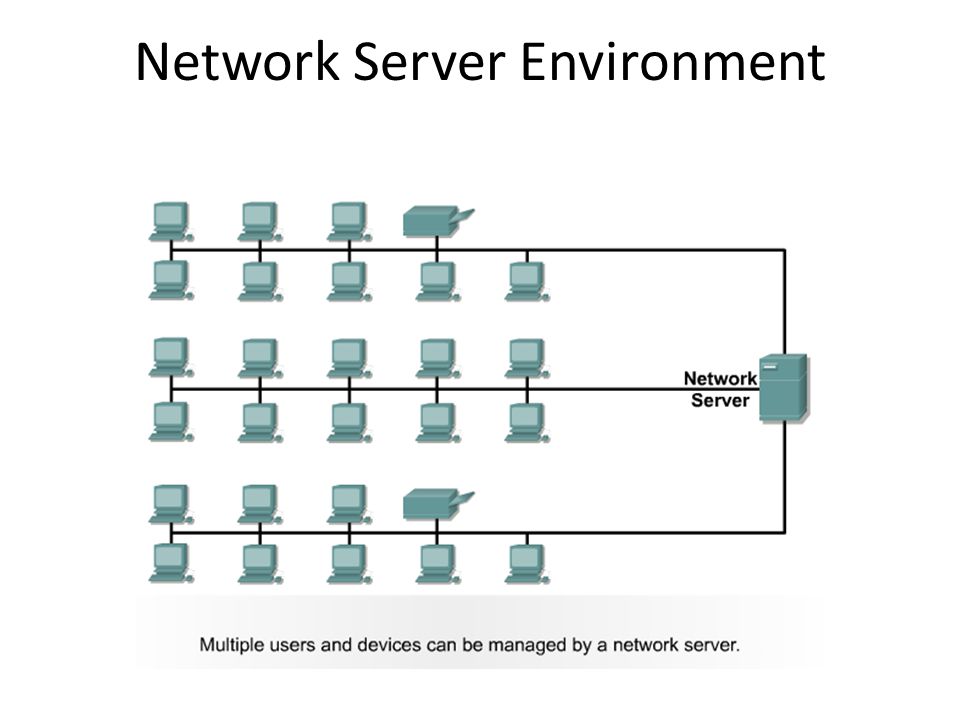 Network Server Environment