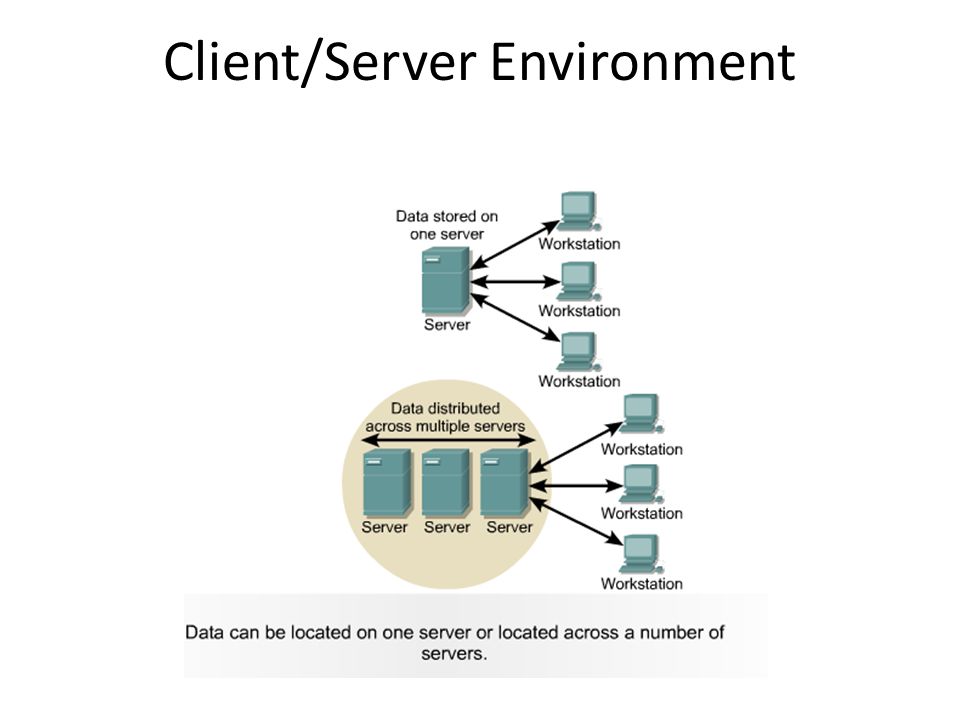 Client/Server Environment