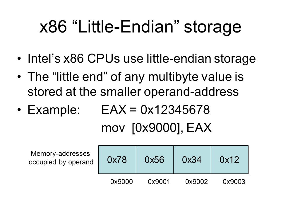 x86 Little-Endian storage Intel’s x86 CPUs use little-endian storage The little end of any multibyte value is stored at the smaller operand-address Example:EAX = 0x mov [0x9000], EAX Memory-addresses occupied by operand 0x120x340x560x78 0x9000 0x9001 0x9002 0x9003