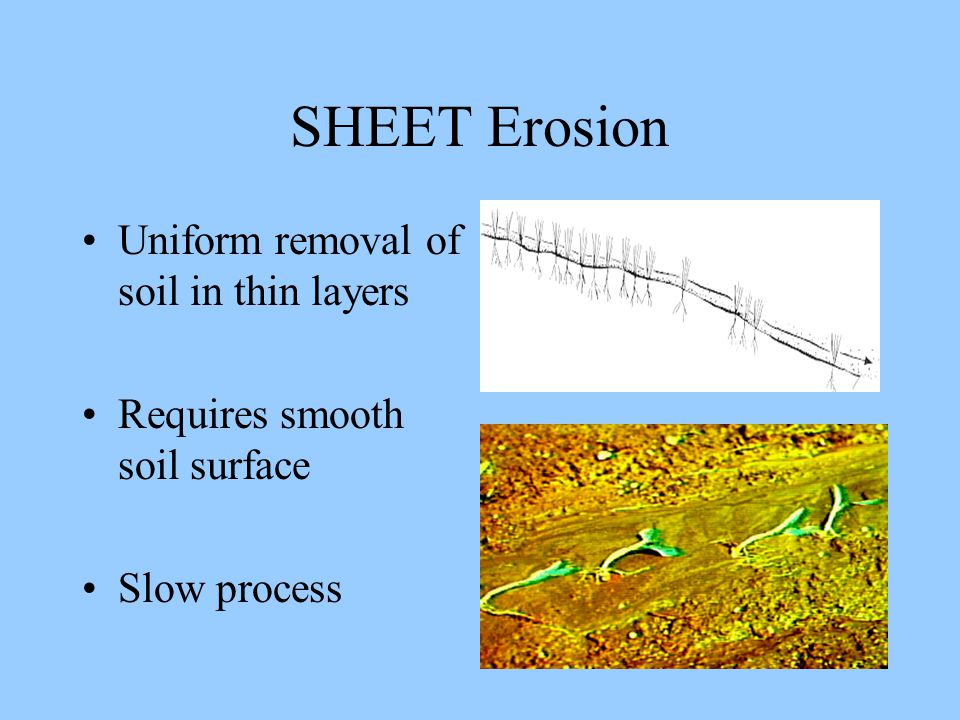 SHEET Erosion Uniform removal of soil in thin layers Requires smooth soil surface Slow process