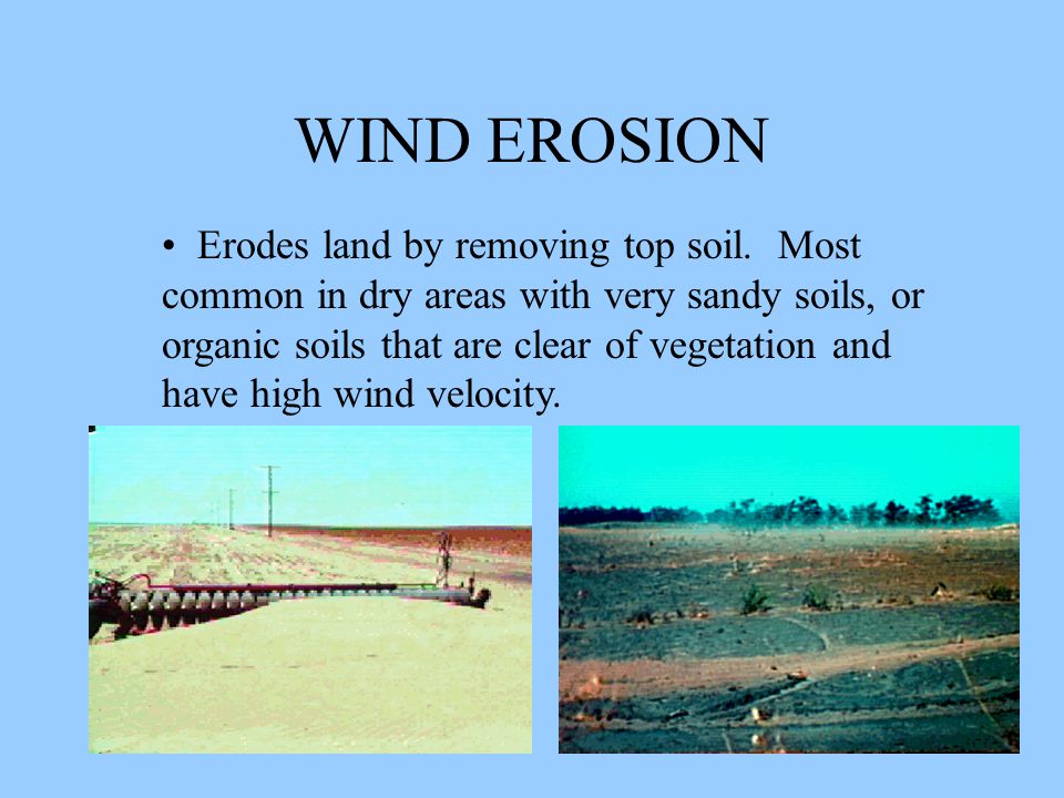 WIND EROSION Erodes land by removing top soil.