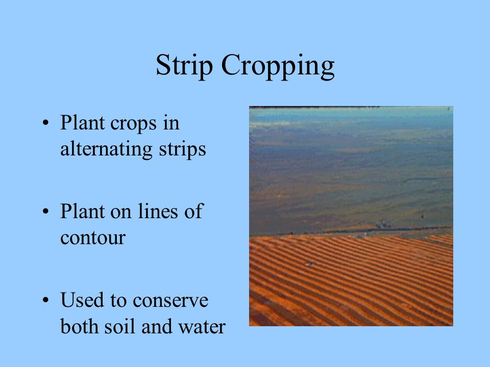 Strip Cropping Plant crops in alternating strips Plant on lines of contour Used to conserve both soil and water