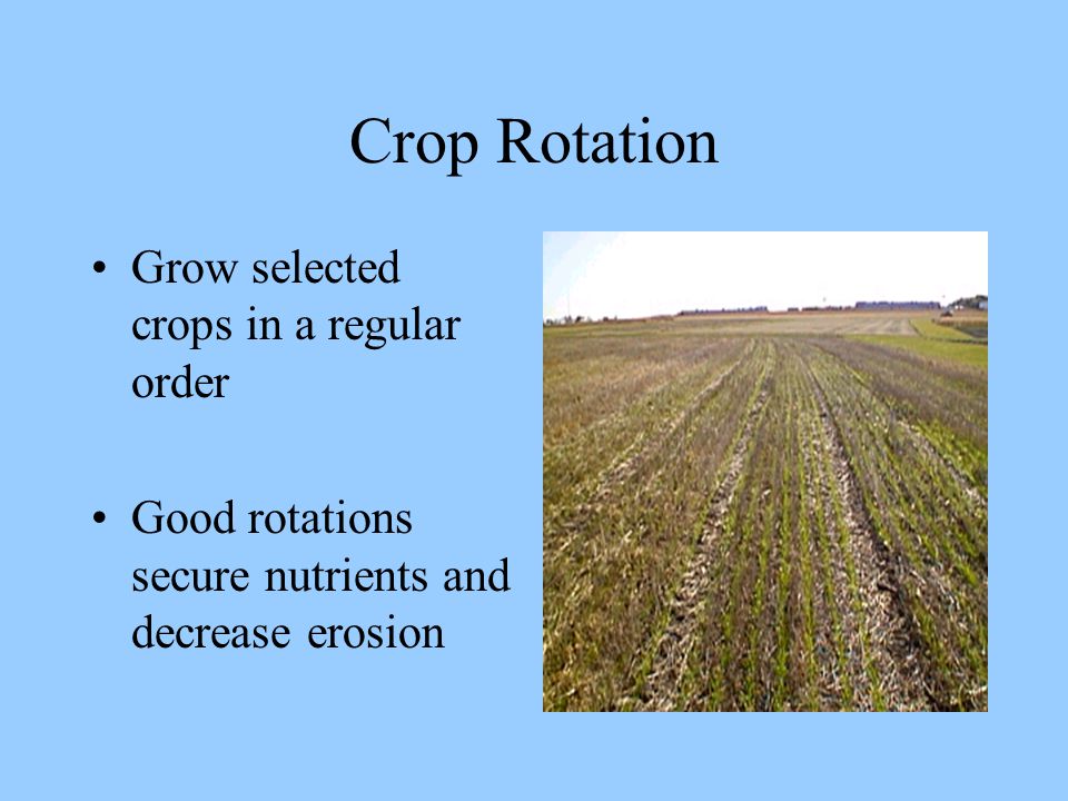 Crop Rotation Grow selected crops in a regular order Good rotations secure nutrients and decrease erosion