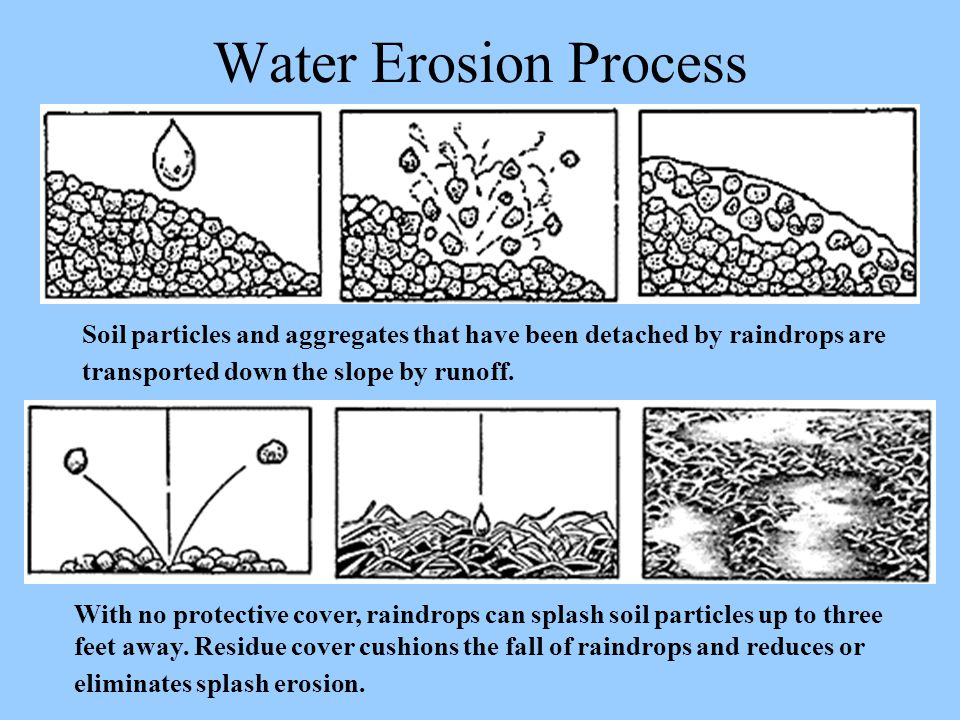 Water Erosion Process With no protective cover, raindrops can splash soil particles up to three feet away.
