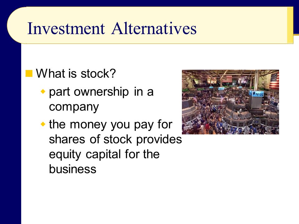 Investment Alternatives What is stock.
