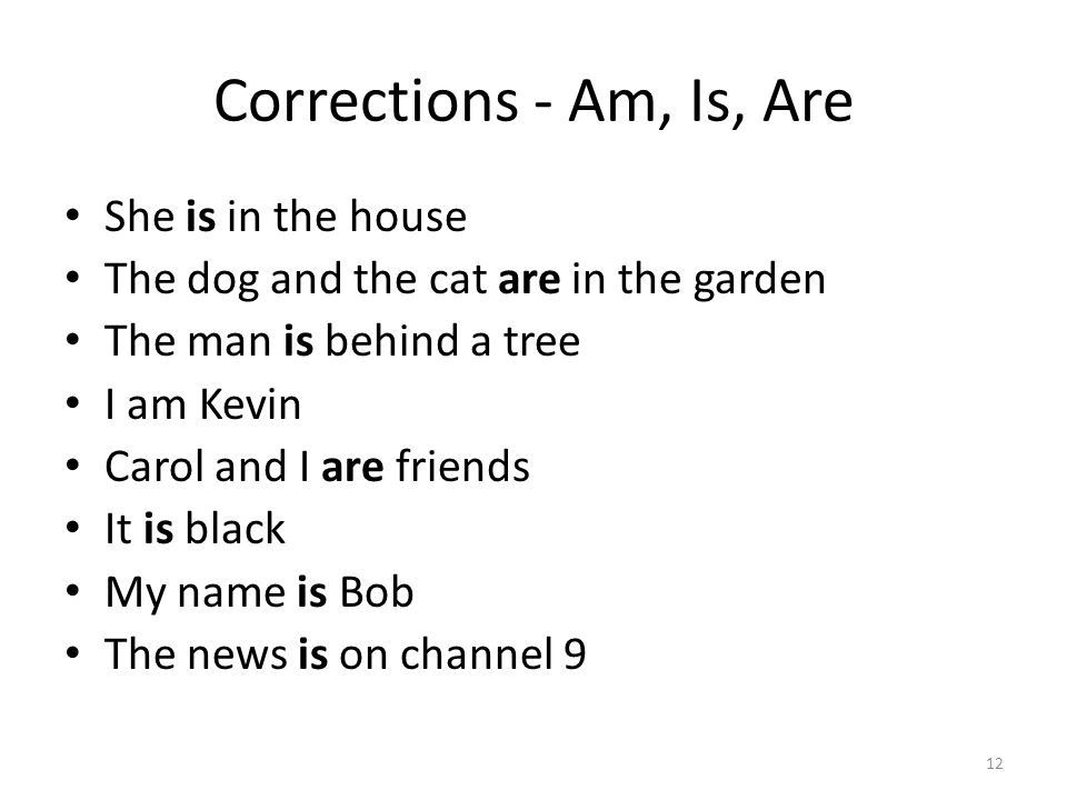 Corrections - Am, Is, Are She is in the house The dog and the cat are in the garden The man is behind a tree I am Kevin Carol and I are friends It is black My name is Bob The news is on channel 9 12