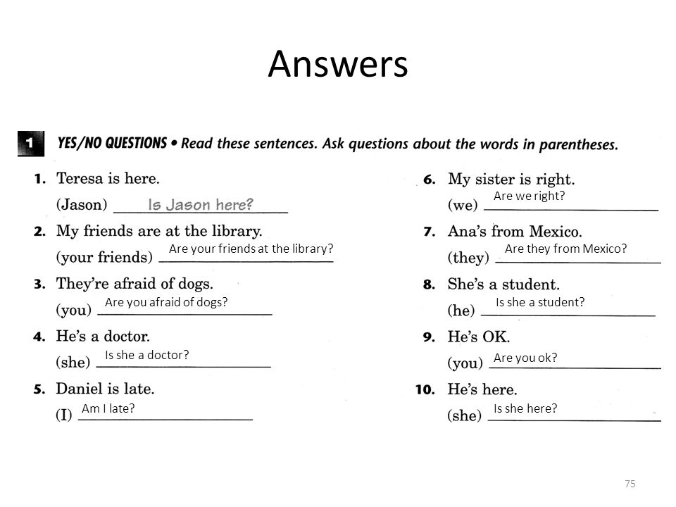Answers Are your friends at the library. Are you afraid of dogs.