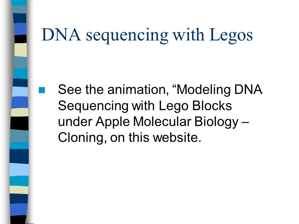 DNA sequencing with Legos See the animation, Modeling DNA Sequencing with Lego Blocks under Apple Molecular Biology – Cloning, on this website.