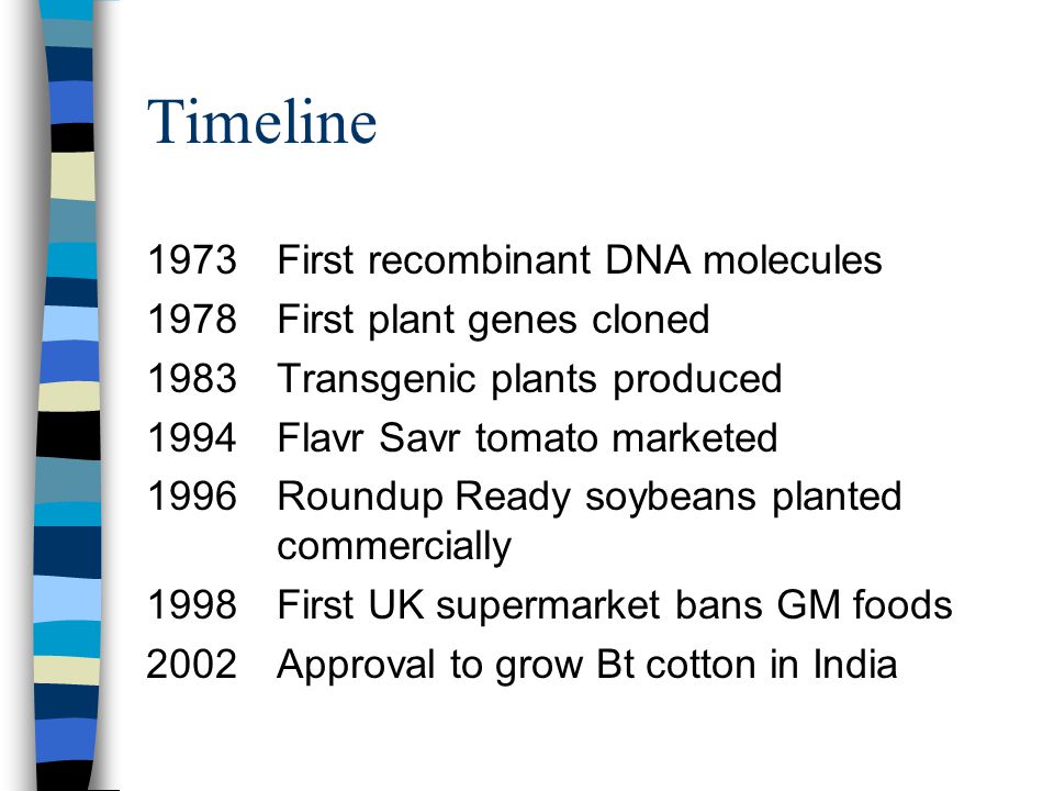 Timeline 1973First recombinant DNA molecules 1978First plant genes cloned 1983Transgenic plants produced 1994Flavr Savr tomato marketed 1996 Roundup Ready soybeans planted commercially 1998First UK supermarket bans GM foods 2002Approval to grow Bt cotton in India