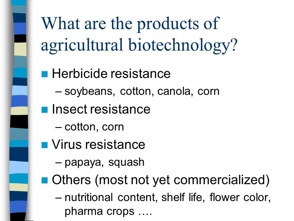 What are the products of agricultural biotechnology.
