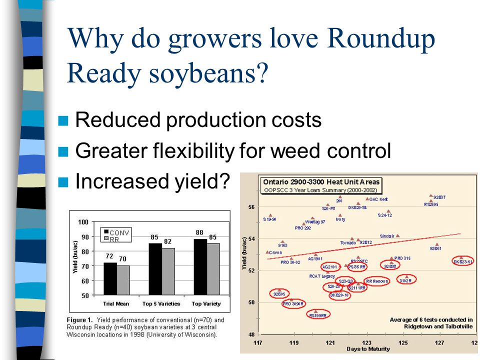 Why do growers love Roundup Ready soybeans.