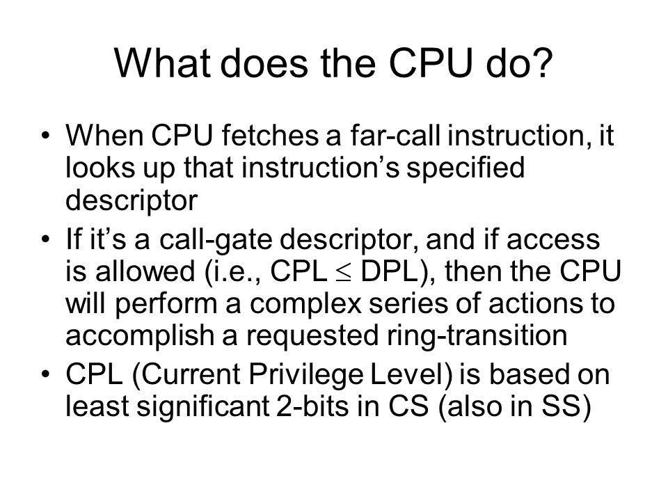 What does the CPU do.
