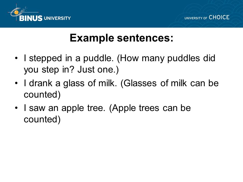 Example sentences: I stepped in a puddle. (How many puddles did you step in.