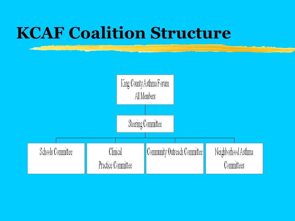 KCAF Coalition Structure
