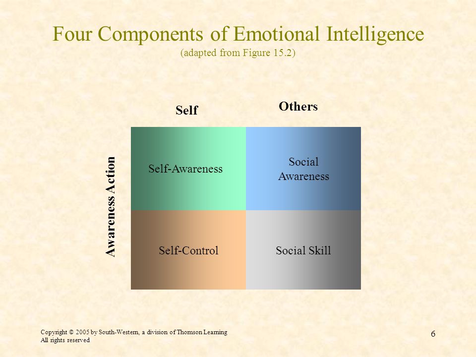 Copyright © 2005 by South-Western, a division of Thomson Learning All rights reserved 6 Four Components of Emotional Intelligence (adapted from Figure 15.2) Self-Control Social Awareness Social Skill Awareness Action Self-Awareness Self Others