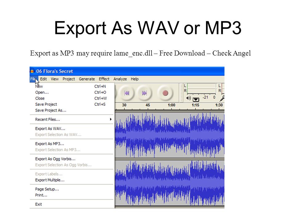 Digital Audio Editing - ppt download