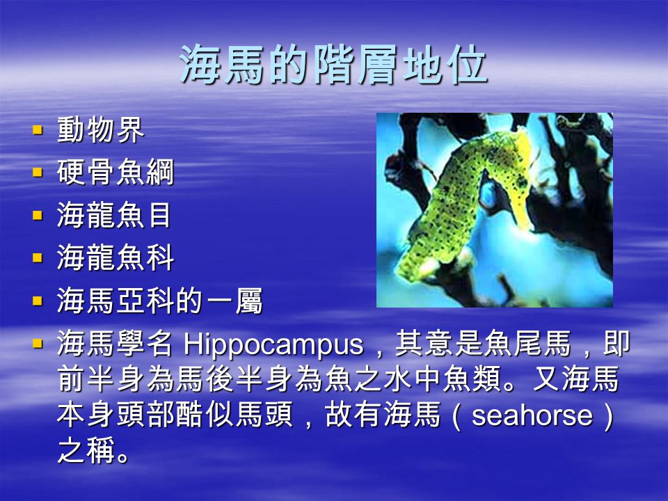 南方人參 海馬 海馬的階層地位 動物界 硬骨魚綱 海龍魚目 海龍魚科 海馬亞科的一屬 海馬學名hippocampus 其意是魚尾馬 即前半身為馬後半身為魚之水中魚類 又海馬本身頭部酷似馬頭 故有海馬 Seahorse 之稱 南方人參 海馬 海馬的階層地位 動物界 硬骨魚綱 海龍魚目 海龍魚科 海馬亞科的一屬 海馬學名hippocampus 其意是魚尾馬 即前半身為馬後半身為魚之水中魚類 又海馬本身頭部酷似馬頭 故有海馬 Seahorse 之稱
