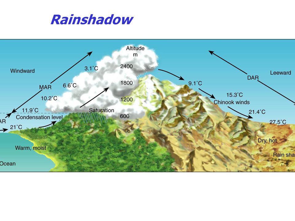 Rainshadow