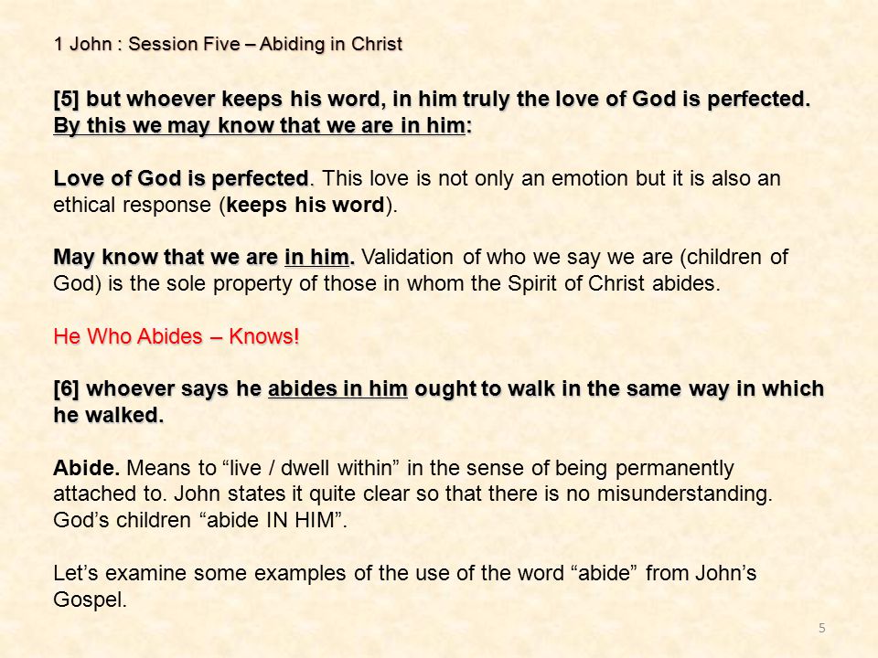 1 John : Session Five – Abiding in Christ 5 [5] but whoever keeps his word, in him truly the love of God is perfected.