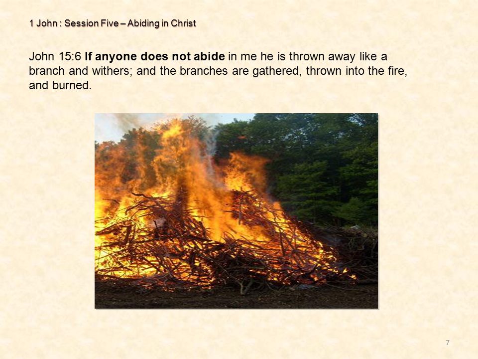 1 John : Session Five – Abiding in Christ 7 John 15:6 If anyone does not abide in me he is thrown away like a branch and withers; and the branches are gathered, thrown into the fire, and burned.