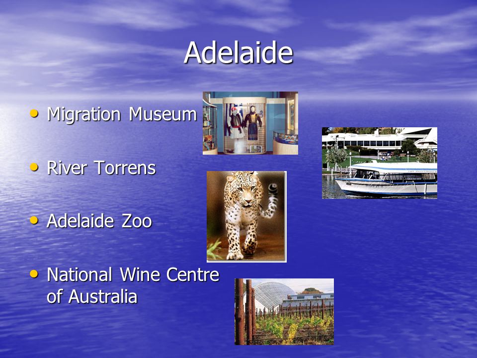 Adelaide Migration Museum Migration Museum River Torrens River Torrens Adelaide Zoo Adelaide Zoo National Wine Centre of Australia National Wine Centre of Australia