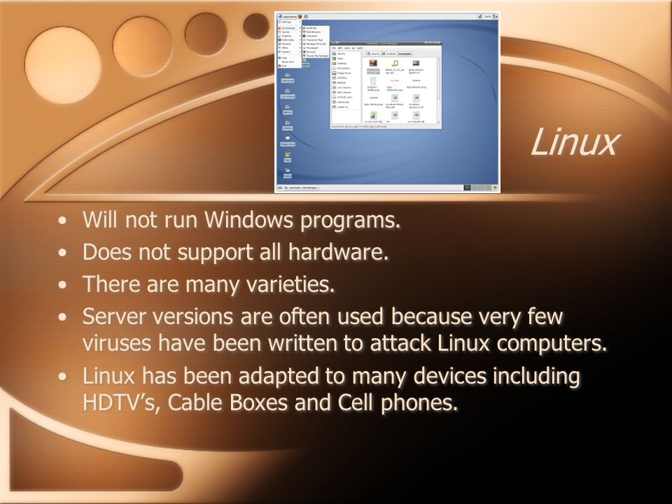Linux Will not run Windows programs. Does not support all hardware.
