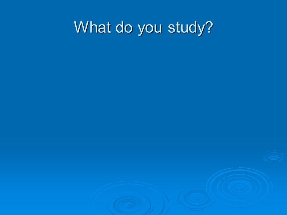 What do you study