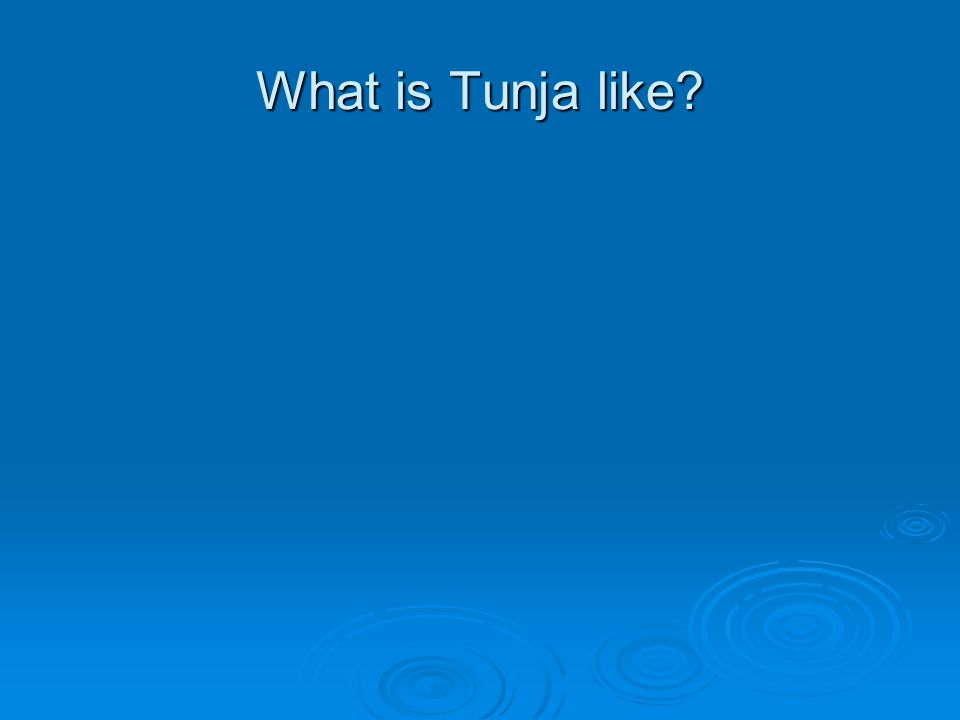 What is Tunja like