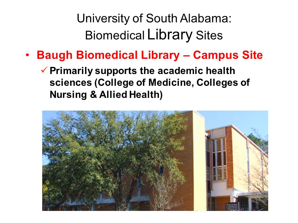 University of South Alabama: Biomedical Library Sites Baugh Biomedical Library – Campus Site Primarily supports the academic health sciences (College of Medicine, Colleges of Nursing & Allied Health)