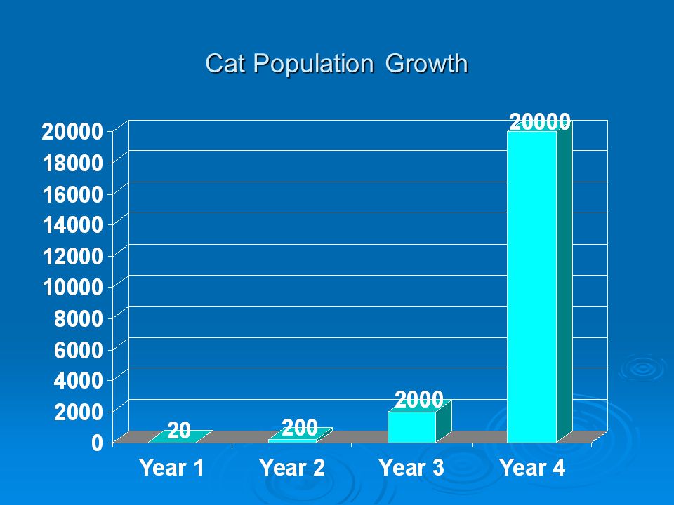 Cat Population Growth