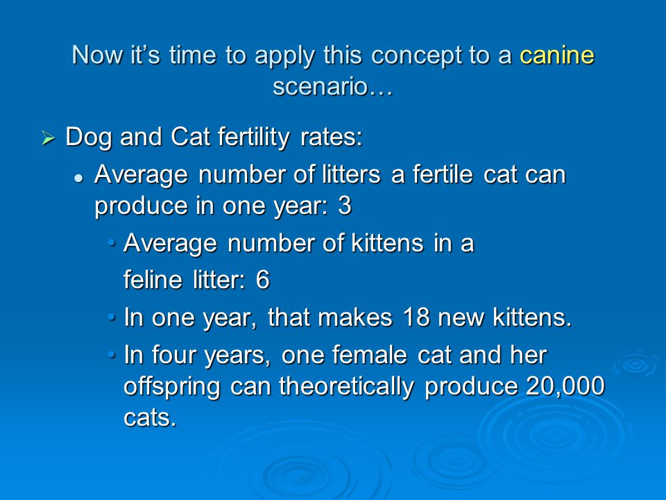 Now it’s time to apply this concept to a canine scenario…  Dog and Cat fertility rates: Average number of litters a fertile cat can produce in one year: 3 Average number of litters a fertile cat can produce in one year: 3 Average number of kittens in aAverage number of kittens in a feline litter: 6 In one year, that makes 18 new kittens.In one year, that makes 18 new kittens.