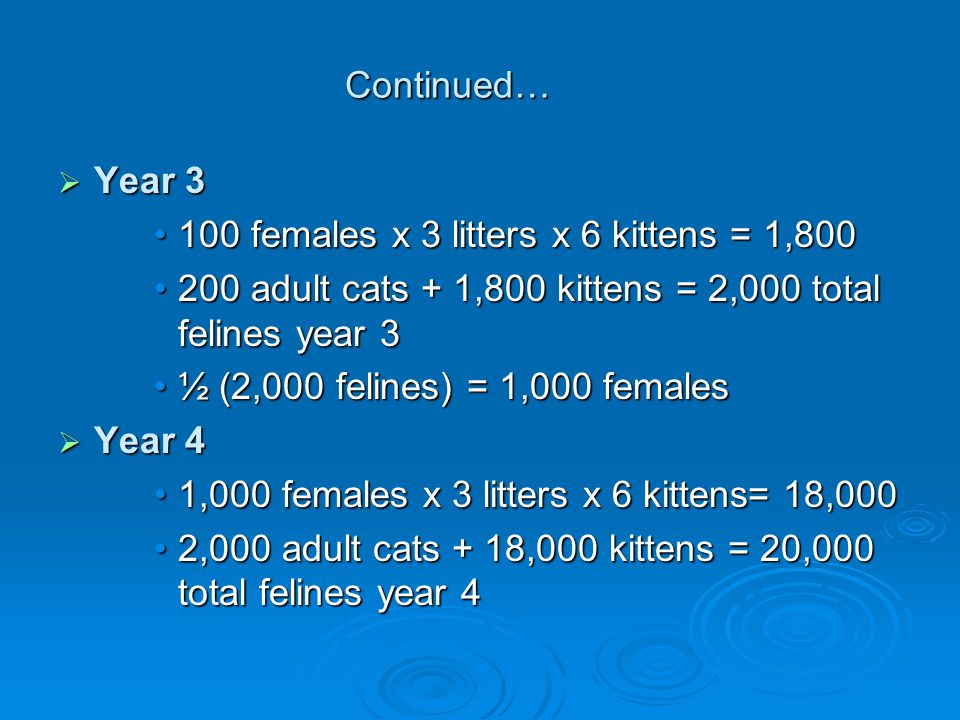 Continued…  Year females x 3 litters x 6 kittens = 1, females x 3 litters x 6 kittens = 1, adult cats + 1,800 kittens = 2,000 total felines year 3200 adult cats + 1,800 kittens = 2,000 total felines year 3 ½ (2,000 felines) = 1,000 females½ (2,000 felines) = 1,000 females  Year 4 1,000 females x 3 litters x 6 kittens= 18,0001,000 females x 3 litters x 6 kittens= 18,000 2,000 adult cats + 18,000 kittens = 20,000 total felines year 42,000 adult cats + 18,000 kittens = 20,000 total felines year 4