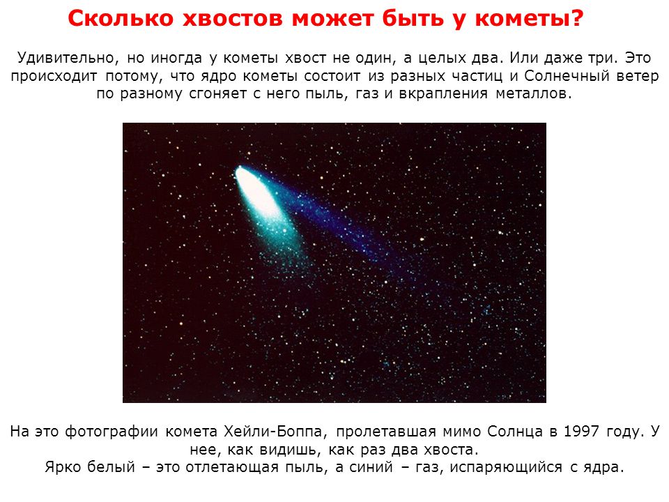 Почему у кометы хвост. Кометы презентация по астрономии. У кометы есть хвост. Газовый и пылевой хвост кометы. Строение кометы.