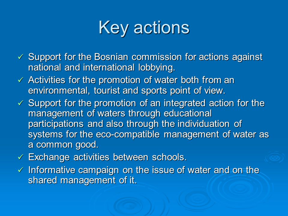 Key actions Support for the Bosnian commission for actions against national and international lobbying.