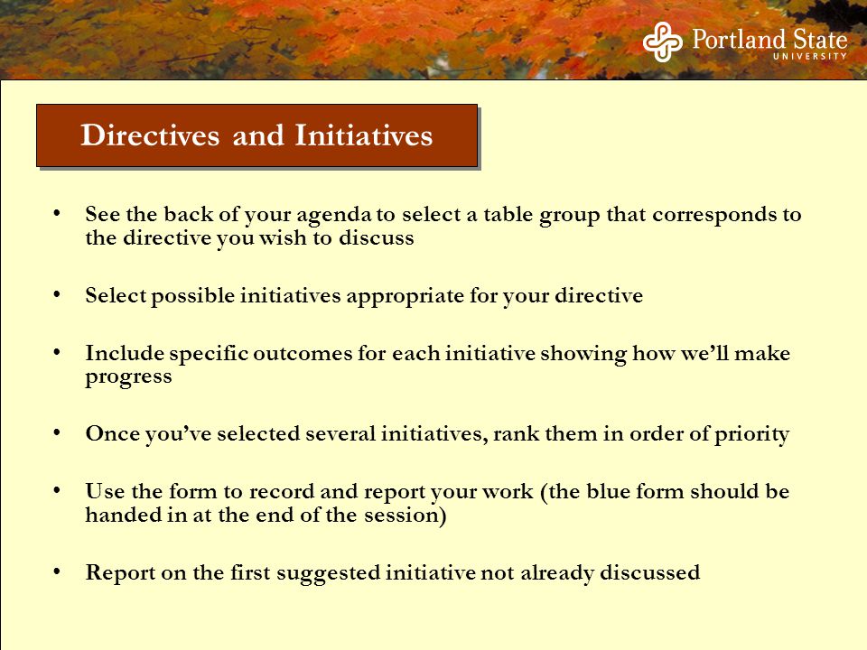 See the back of your agenda to select a table group that corresponds to the directive you wish to discuss Select possible initiatives appropriate for your directive Include specific outcomes for each initiative showing how we’ll make progress Once you’ve selected several initiatives, rank them in order of priority Use the form to record and report your work (the blue form should be handed in at the end of the session) Report on the first suggested initiative not already discussed Directives and Initiatives