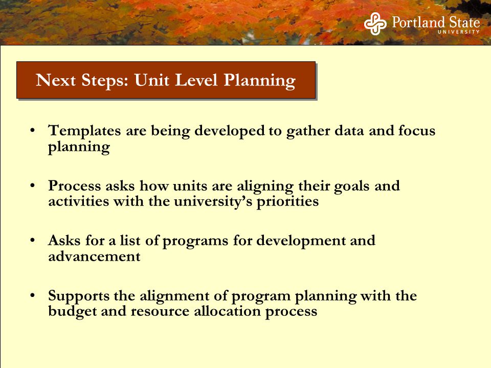 Templates are being developed to gather data and focus planning Process asks how units are aligning their goals and activities with the university’s priorities Asks for a list of programs for development and advancement Supports the alignment of program planning with the budget and resource allocation process Next Steps: Unit Level Planning