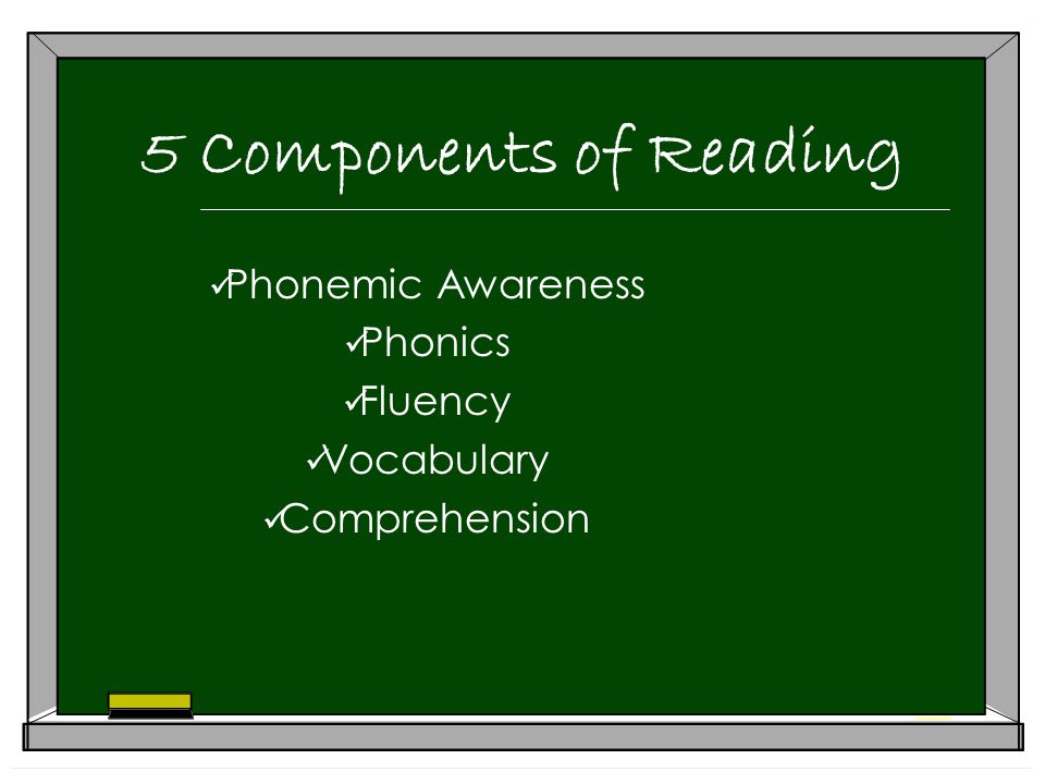 5 Components of Reading Phonemic Awareness Phonics Fluency Vocabulary Comprehension