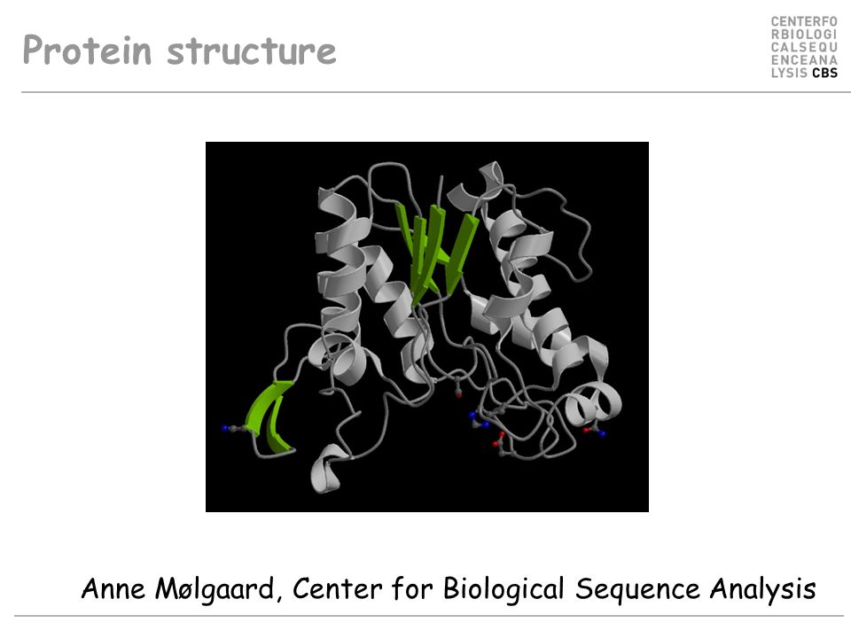 Protein structure Anne Mølgaard, Center for Biological Sequence Analysis