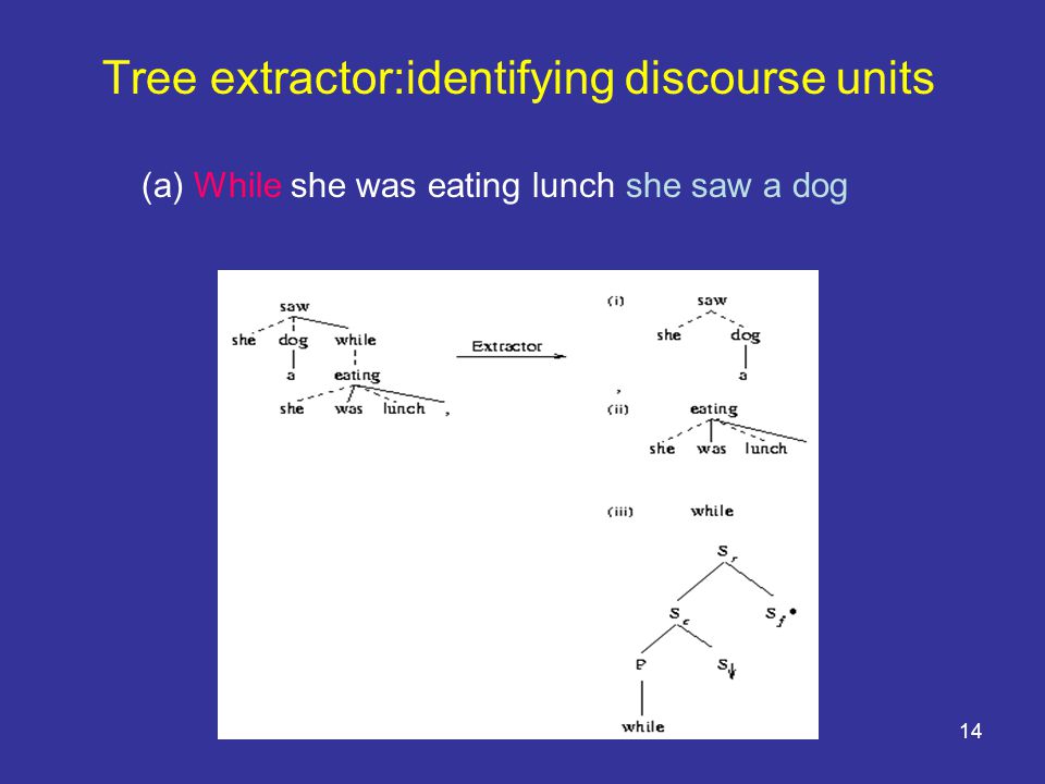 14 Tree extractor:identifying discourse units (a) While she was eating lunch she saw a dog