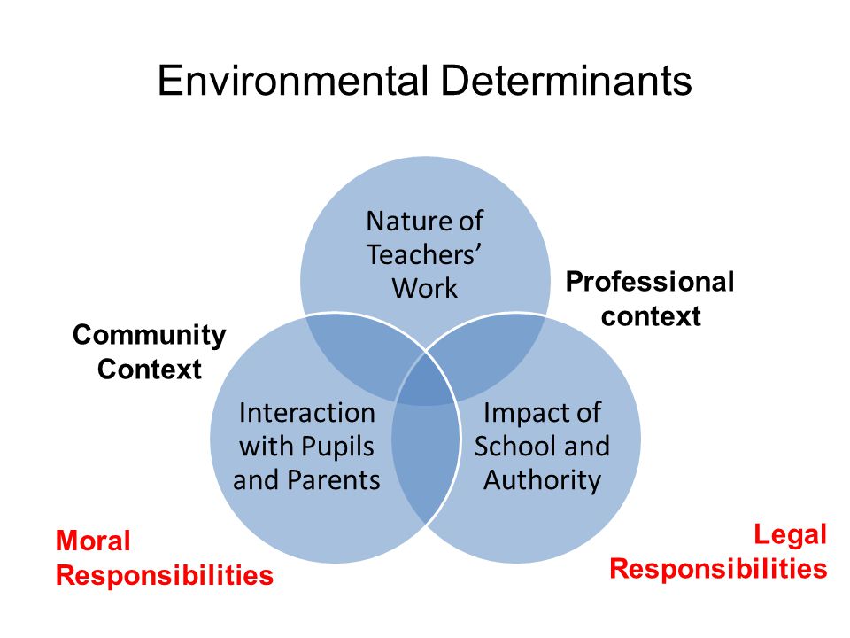 Environmental Determinants Nature of Teachers’ Work Impact of School and Authority Interaction with Pupils and Parents Professional context Community Context Legal Responsibilities Moral Responsibilities